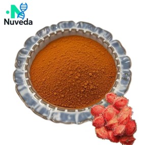 Annatto Extract Powder Factory - Water Soluble Norbixin Bixin 40% Custom