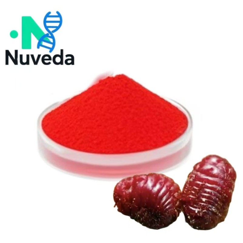 Carmine Powder Supplier - Cochineal Natural Pigment Food Grade Bulk Wholesale
