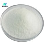 Citric Acid Powder Manufacturer - Food Grade Anhydrous Sour Agent Direct Sale