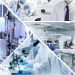 Sodium Chondroitin Sulfate Factory - 90% 95% Chemical Grade Bulk Supply