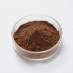 Pygeum Africanum Extract Factory - Prunus Africana Bark Powder Bulk Supply