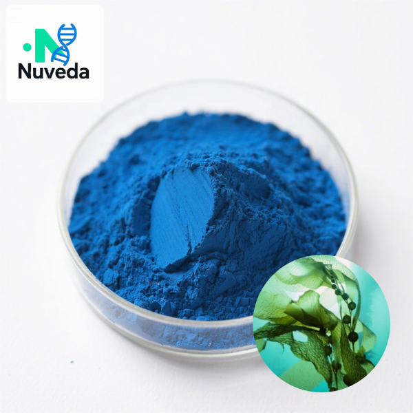 Phycocyanin Powder Manufacturer - Blue Pigment Spirulina Extract E18 Bulk