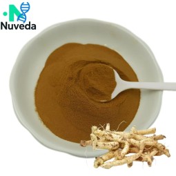 Polygonatum Extract Powder Factory - Huangjing Rhizoma Plant Extract Custom