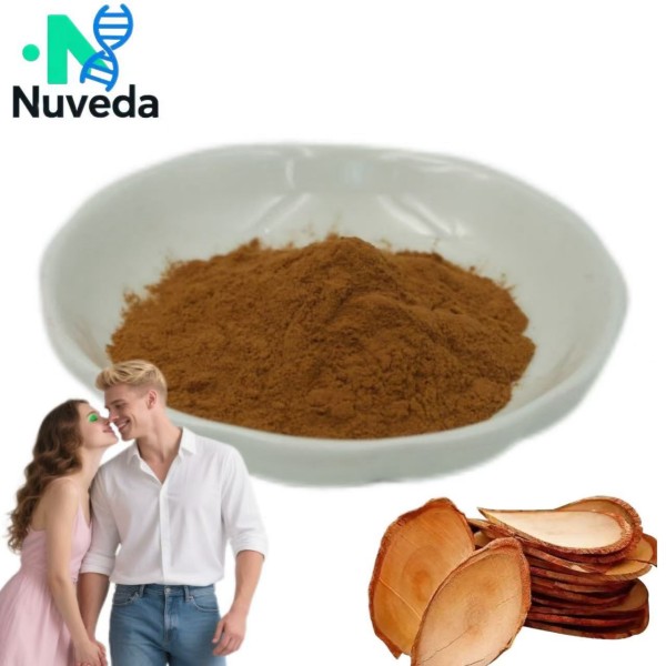 Tongkat Ali Extract Powder - Dongge Ali Root 10:1 20:1 Organic Custom