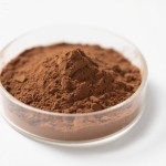 Pygeum Africanum Extract Factory - Prunus Africana Bark Powder Bulk Supply