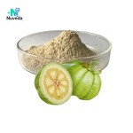 Garcinia Cambogia Extract Manufacturer - 95% Fruit Powder Body Supplement