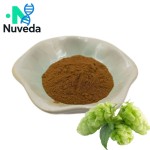 Hops Extract Manufacturer - 100% Pure Food Grade Beer Flavor Enhancer OEM