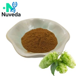 Hops Extract Manufacturer - 100% Pure Food Grade Beer Flavor Enhancer OEM