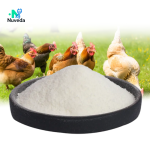 Sodium Chondroitin Sulfate Manufacturer - Chicken Source CAS 9007-28-7 Custom