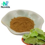 Epimedium Extract Factory - 10% Icariin Natural Plant Extract Custom Grade