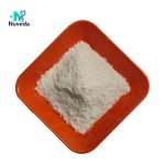 Citric Acid Powder Manufacturer - Food Grade Anhydrous Sour Agent Direct Sale