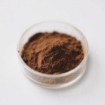 Pygeum Africanum Extract Factory - Prunus Africana Bark Powder Bulk Supply