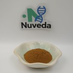 Hops Extract Manufacturer - 100% Pure Food Grade Beer Flavor Enhancer OEM