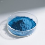 Phycocyanin Powder Manufacturer - Blue Pigment Spirulina Extract E18 Bulk