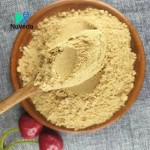 Turmeric Curcumin Powder Factory - GMP Certified Vegan Ginger Extract Custom