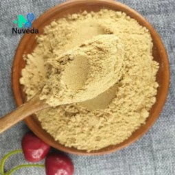 Turmeric Curcumin Powder Factory - GMP Certified Vegan Ginger Extract Custom