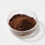 Pygeum Africanum Extract Factory - Prunus Africana Bark Powder Bulk Supply