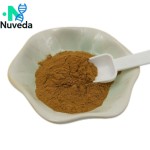 Epimedium Extract Factory - 10% Icariin Natural Plant Extract Custom Grade