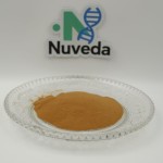 Rosemary Extract Powder Factory - 10%-90% Rosmarinic Acid Antioxidant Custom