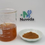 Tongkat Ali Extract Powder - Dongge Ali Root 10:1 20:1 Organic Custom