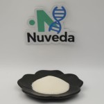 Bovine Testicle Powder Manufacturer - Lyophilized Bull Testicular Powder Bulk