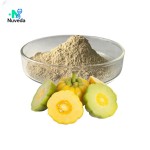 Garcinia Cambogia Extract Manufacturer - 95% Fruit Powder Body Supplement