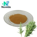 Rosemary Extract Powder Factory - 10%-90% Rosmarinic Acid Antioxidant Custom