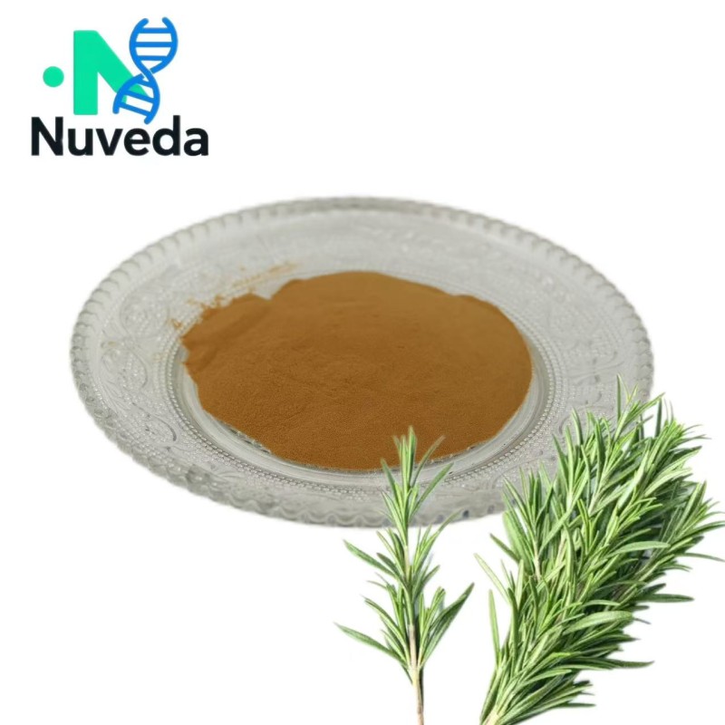 Rosemary Extract Powder Factory - 10%-90% Rosmarinic Acid Antioxidant Custom