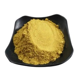 Baicalin Extract Powder Manufacturer - 85% HPLC CAS21967-41-9 Custom Service