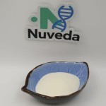 Snail Extract Powder Manufacturer - High Protein 98% Food Grade Bulk Supply