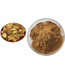 Baicalin Extract Powder Manufacturer - 85% Scutellaria Baicalensis Root