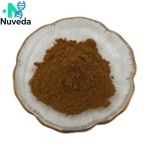 Agastache Rugosa Extract Supplier - 10:1 30:1 Patchouli Extract Custom Powder