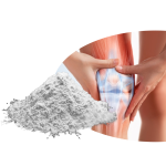 Chondroitin Sulfate Powder Manufacturer - 99% Pure Food Grade Custom Service