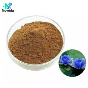 Maca Root Extract Powder Factory - Organic Bulk Liquid Oil Capsule Forms