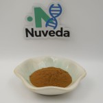 Hops Extract Manufacturer - 100% Pure Food Grade Beer Flavor Enhancer OEM