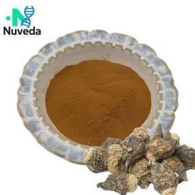 Maca Extract Powder Supplier - 10:1 Food Grade Health Supplement for Men