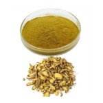 Scutellaria Baicalensis Extract - Baicalin Baicalein Powder Custom Formula