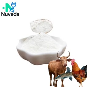 Chondroitin Sulfate Complex Powder - MSM Glucosamine Custom Formula Bulk