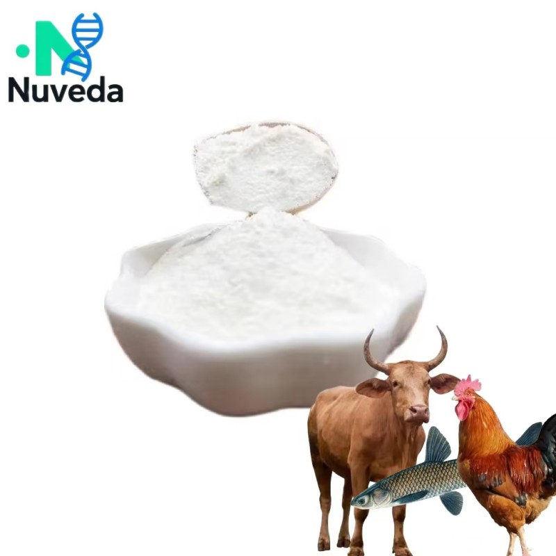 Chondroitin Sulfate Complex Powder - MSM Glucosamine Custom Formula Bulk