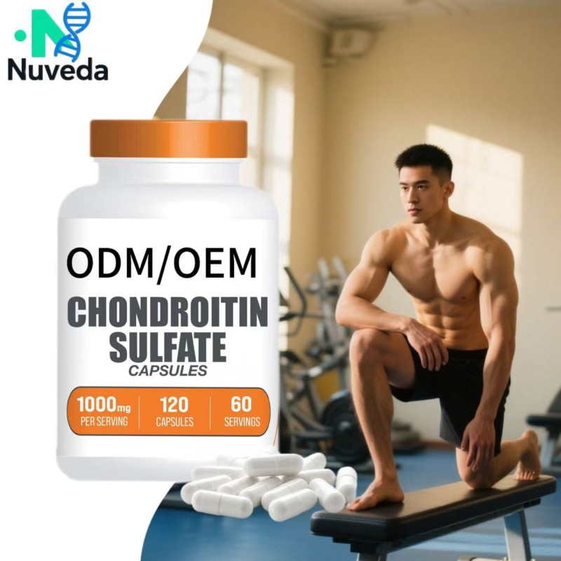 Chondroitin Supplement Capsules OEM - Glucosamine MSM Bone Density Custom