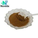 Agastache Rugosa Extract Supplier - 10:1 30:1 Patchouli Extract Custom Powder