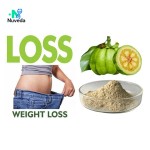 Garcinia Cambogia Extract Manufacturer - 95% Fruit Powder Body Supplement