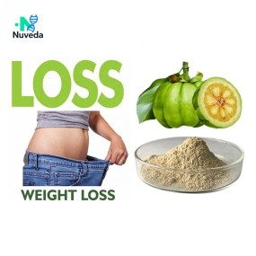 Garcinia Cambogia Extract Manufacturer - 95% Fruit Powder Body Supplement
