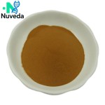 Polygonatum Extract Powder Factory - Huangjing Rhizoma Plant Extract Custom