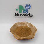 Cistanche Deserticola Extract - 10:1 20:1 30:1 Tonic Powder Custom Formula