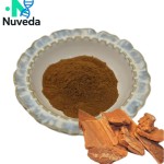 Catuaba Bark Extract Supplier - 10:1 Concentrated Organic Plant Supplement