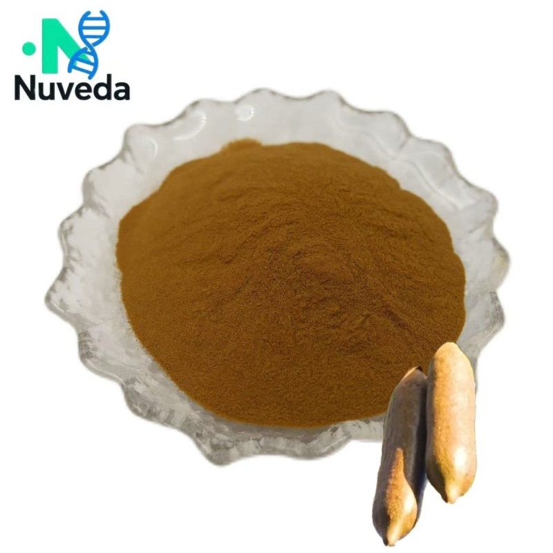 Kigelia Africana Powder Supplier - Natural Fruit Extract Bulk Custom Formula