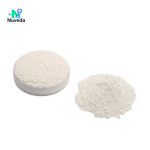Sodium Chondroitin Sulfate Manufacturer - Chicken Source CAS 9007-28-7 Custom