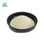 Chondroitin Sulfate Sodium Powder - Nutrition Supplement Raw Material OEM