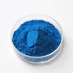 Phycocyanin Powder Manufacturer - Blue Pigment Spirulina Extract E18 Bulk